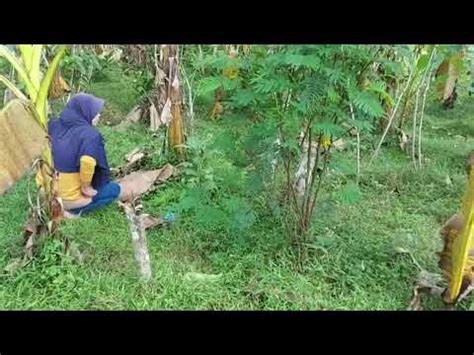 video ngintip cewek pipis|KAGP.